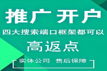 行业领先企业的SEM开户成功案例